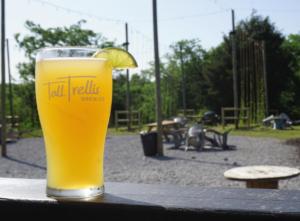 Tall Trellis Brew Co.