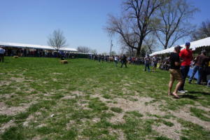 Parkville Microbrew Fest