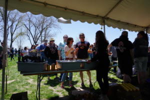 Parkville Microbrew Fest