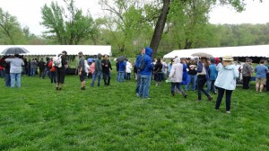 2015 Parkville Microbrew Fest