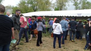 2015 Parkville Microbrew Fest